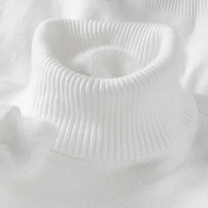 Leroux Knit Turtleneck Sweater